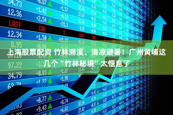 上海股票配资 竹林溯溪、清凉避暑！广州黄埔这几个“竹林秘境”太惬意了