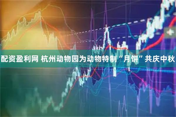 配资盈利网 杭州动物园为动物特制“月饼”共庆中秋
